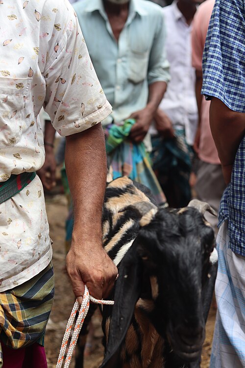 イード・ウル・アズハ（Eid ul-Adha）